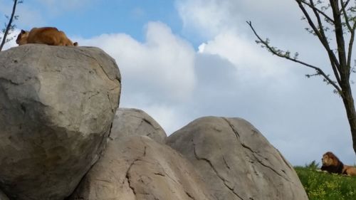 Scenic view of rock formations