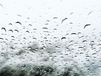 Close-up of water drops on glass