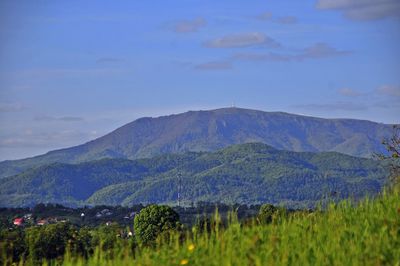 Scenic view of field and mountains against blue sky