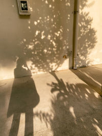 Shadow of man walking on street