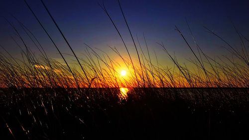 Silhouette of field at sunset