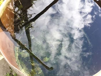 High angle view of trees in water