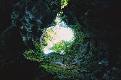 Rock formation in sea