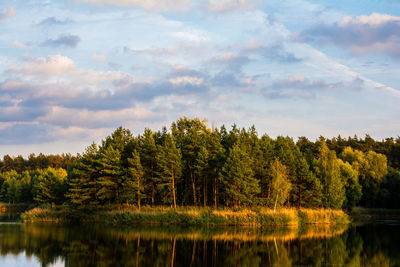 Scenic view of lake by trees against sky