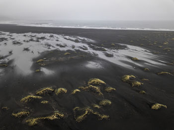 Aerial of black sand beach near stokksnes, iceland