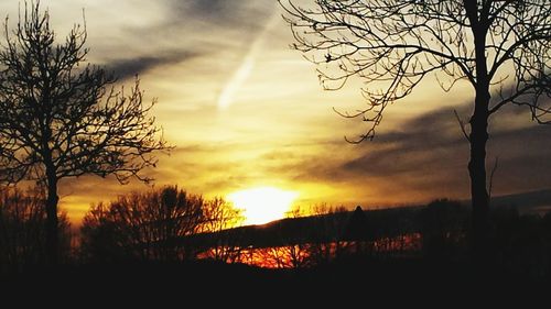 Silhouette of bare trees against cloudy sky