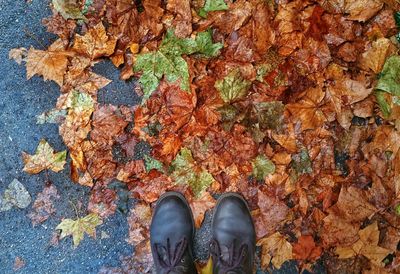 Low section of person standing on fallen leaves