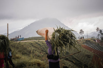 Rear view of man carrying plants on head while walking at roadside