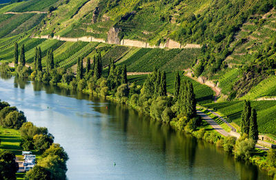 High angle view of vineyard against sky