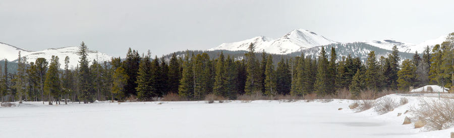 Trees on snow covered land against sky