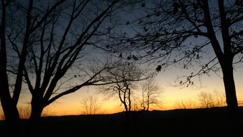 Silhouette bare trees against sky at sunset