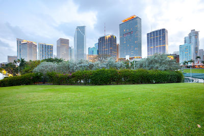 Trees and buildings in city against sky