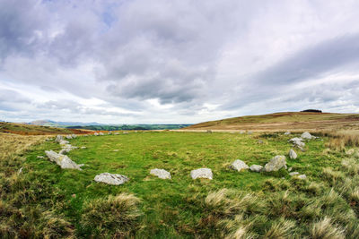 Scenic view of field against sky