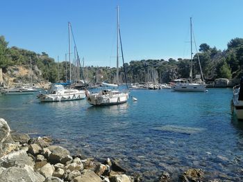 Boats in harbor