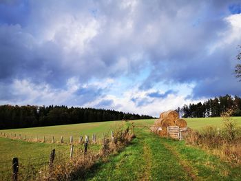 Scenic view of field against sky