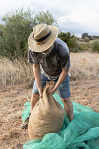 Male farmer harvesting almonds by hand.