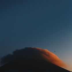 Low angle view of bird flying in sky