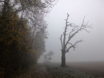 Bare trees on landscape during foggy weather