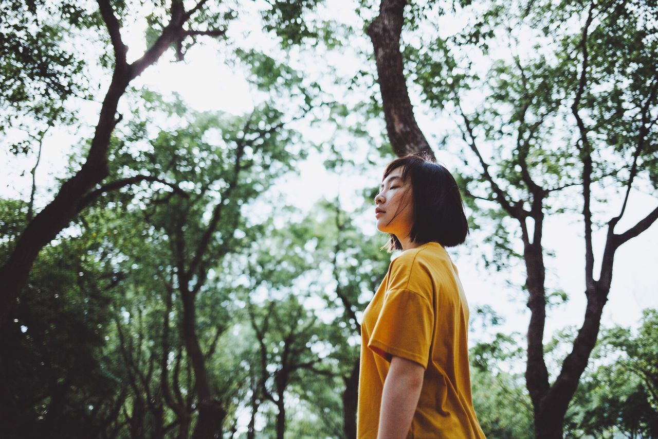 tree, plant, one person, lifestyles, real people, leisure activity, focus on foreground, side view, looking, day, yellow, young adult, waist up, nature, growth, standing, low angle view, tree trunk, looking away, outdoors, hairstyle, contemplation