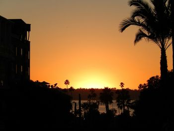 Silhouette palm trees at sunset