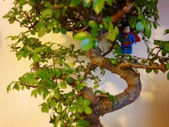 Low angle view of bird perching on tree