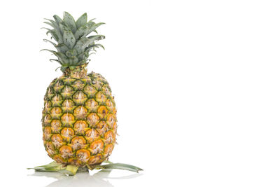 Close-up of fruit against white background