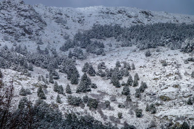 Scenic view of snow covered land