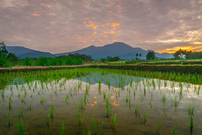 Scenic view of lake against sky during sunset
