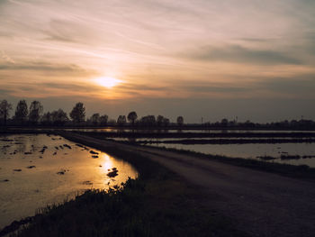 Scenic view of rice paddies against sky during sunset