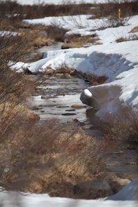 Frozen stream on land