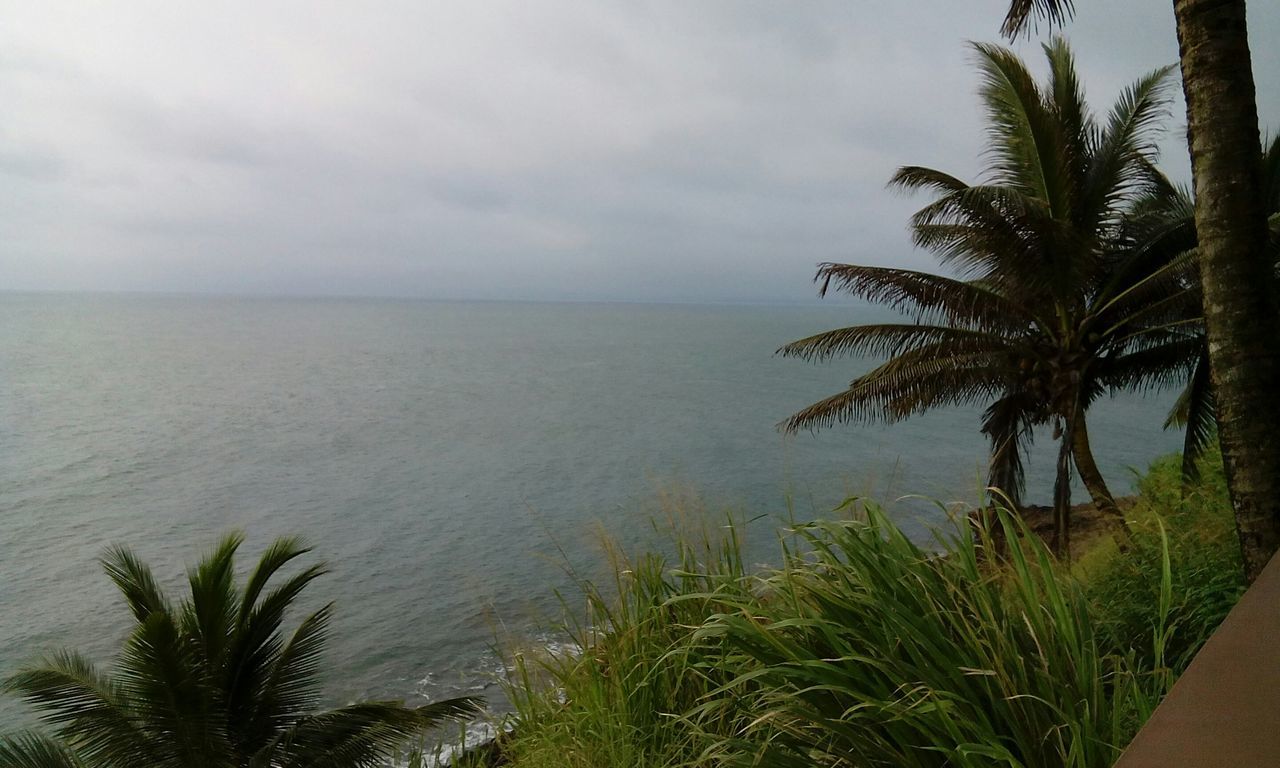 palm tree, sea, horizon over water, water, sky, tranquility, tranquil scene, beach, scenics, beauty in nature, tree, nature, growth, shore, cloud - sky, tropical climate, idyllic, plant, coastline, cloud