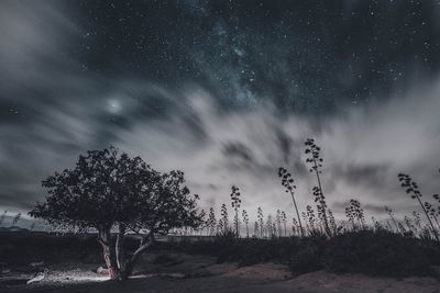 Scenic view of trees against sky at night
