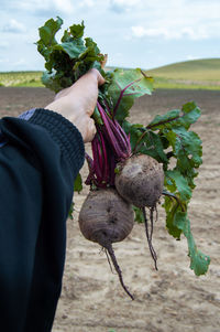 Midsection of person holding apple on field