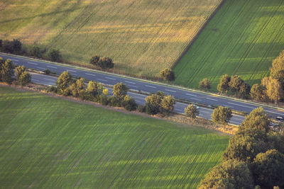 Scenic view of agricultural field