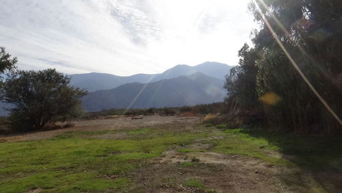 Scenic view of landscape against sky