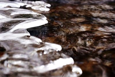 Close-up of rocks in water