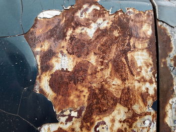 High angle view of bread on table