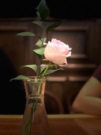 Close-up of pink rose in vase on table