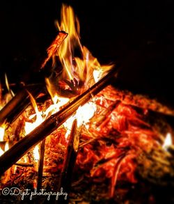 Close-up of bonfire at night