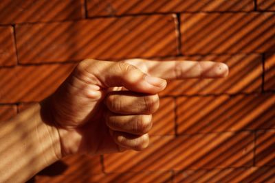Cropped image of hand gesturing against brick wall
