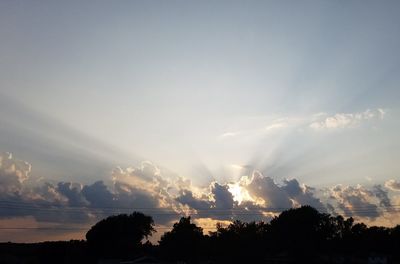 Low angle view of silhouette trees against sky