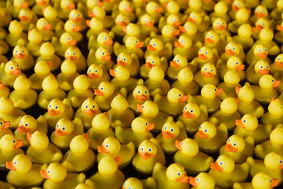 High angle view of rubber ducks for sale at market stall