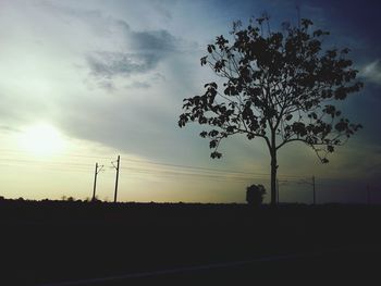 Silhouette of trees on field against sky at sunset