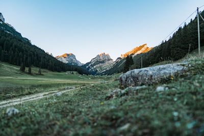 Surface level of land against clear sky