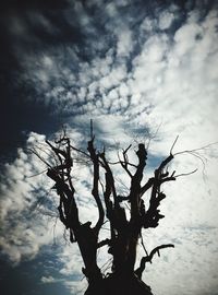 Low angle view of silhouette tree against dramatic sky