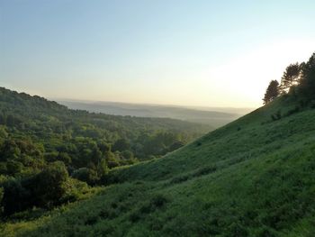 Scenic view of landscape against clear sky