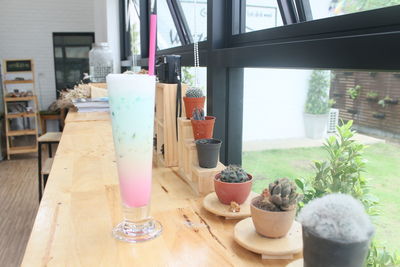 Close-up of potted plant on table