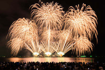 Low angle view of firework display at night