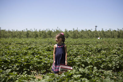Girl looking away while standing on strawberry farm against clear sky