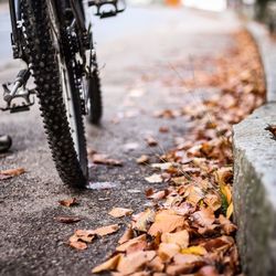 Cropped image of bicycle on road by autumn leaf